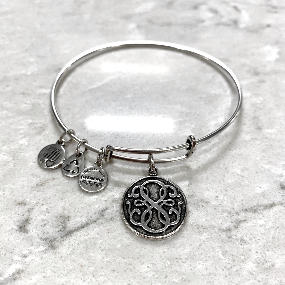 Alex and Ani Infinity Bracelet